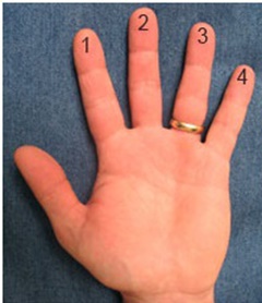 finger-numbers