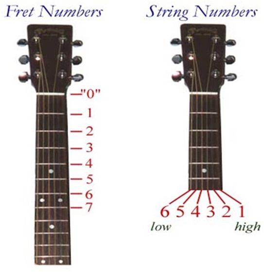 fret-numbers